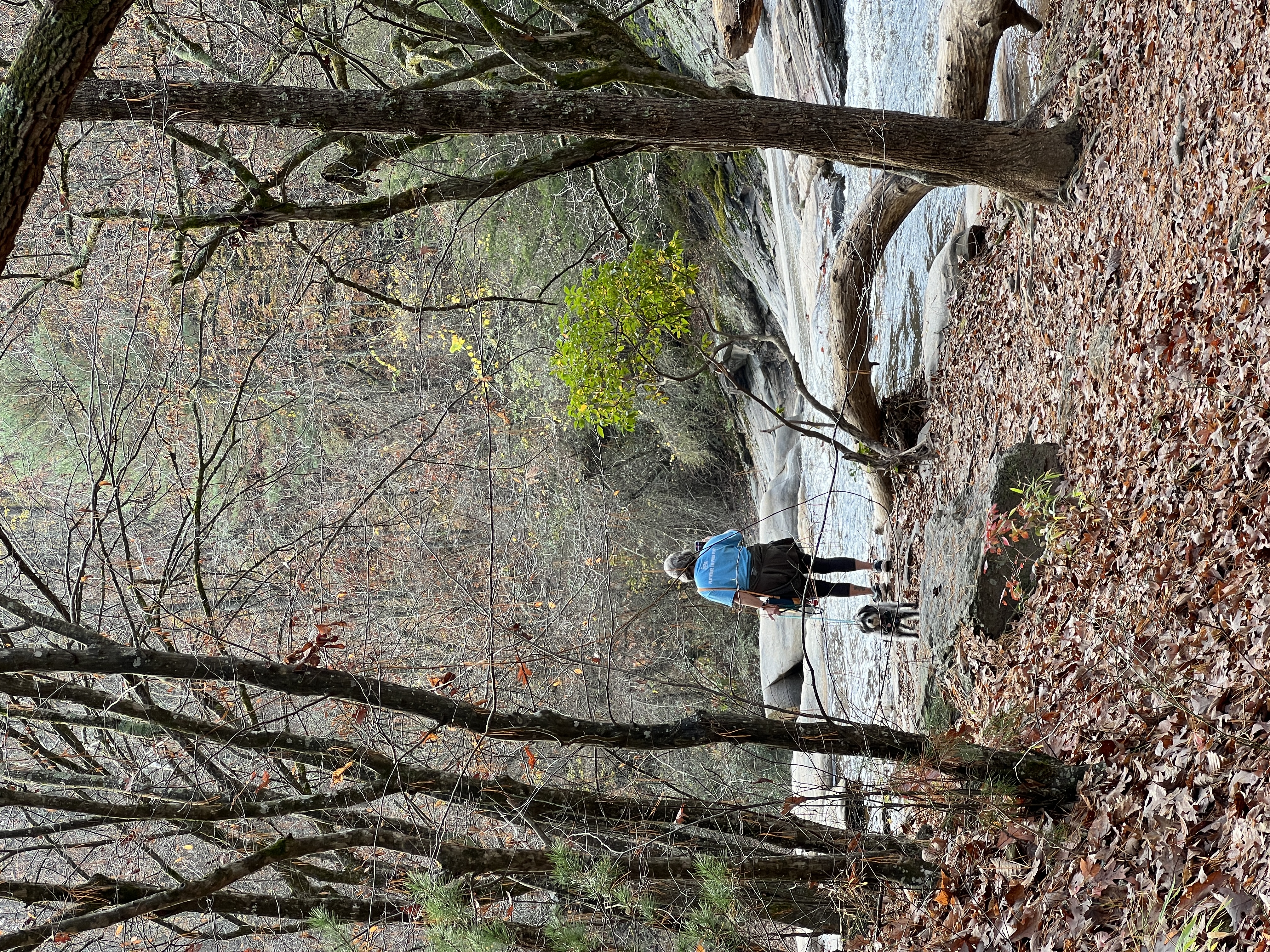 ./2024/11 - Byrd's Branch/IMG_3658.JPG